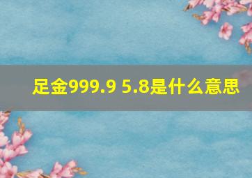 足金999.9 5.8是什么意思